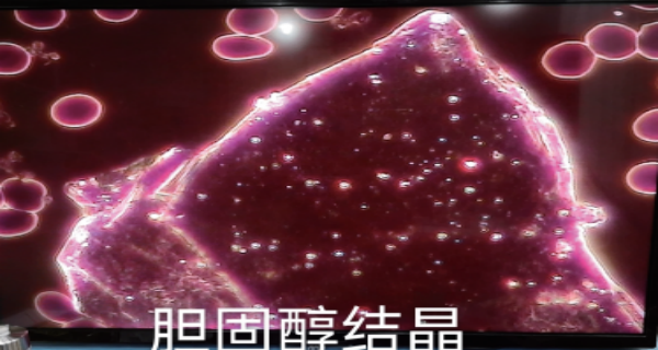 8.png